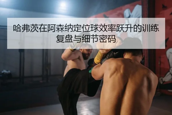 ha-fu-ci-zai-a-sen-na-ding-wei-qiu-xiao-lv-yue-sheng-de-xun-lian-fu-pan-yu-xi-jie-mi-ma-2-499.jpg